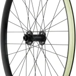 bear pawlsraceface ar 29in mtb 0 1750475828 - AROUNDTHECYCLE