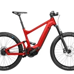 riese muller delite mountain e 0 1750475759 - AROUNDTHECYCLE