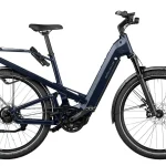 riese muller homage gt e bike 0 1750475707 - AROUNDTHECYCLE