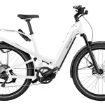 riese muller homage gt electri 0 1750475707 - AROUNDTHECYCLE