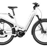 riese muller homage gt vario t 0 1750475707 - AROUNDTHECYCLE
