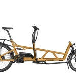 riesemuller load electric bike 0 1750475776 - AROUNDTHECYCLE