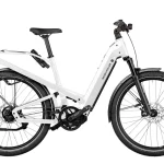 rohloff powered riese muller h 0 1750475702 - AROUNDTHECYCLE
