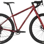 salsa fargo apex 1 steel grave 0 1750475974 - AROUNDTHECYCLE