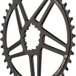sram 38t direct mount chainrin 0 1750476709 - AROUNDTHECYCLE